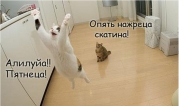 рейтинг блогов