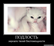 рейтинг блогов