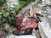 рейтинг блогов