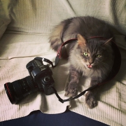 рейтинг блогов