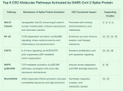 рейтинг блогов
