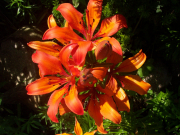 рейтинг блогов